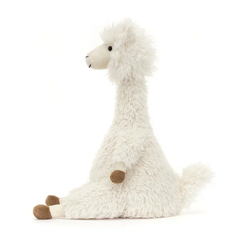 ALONSO ALPACA