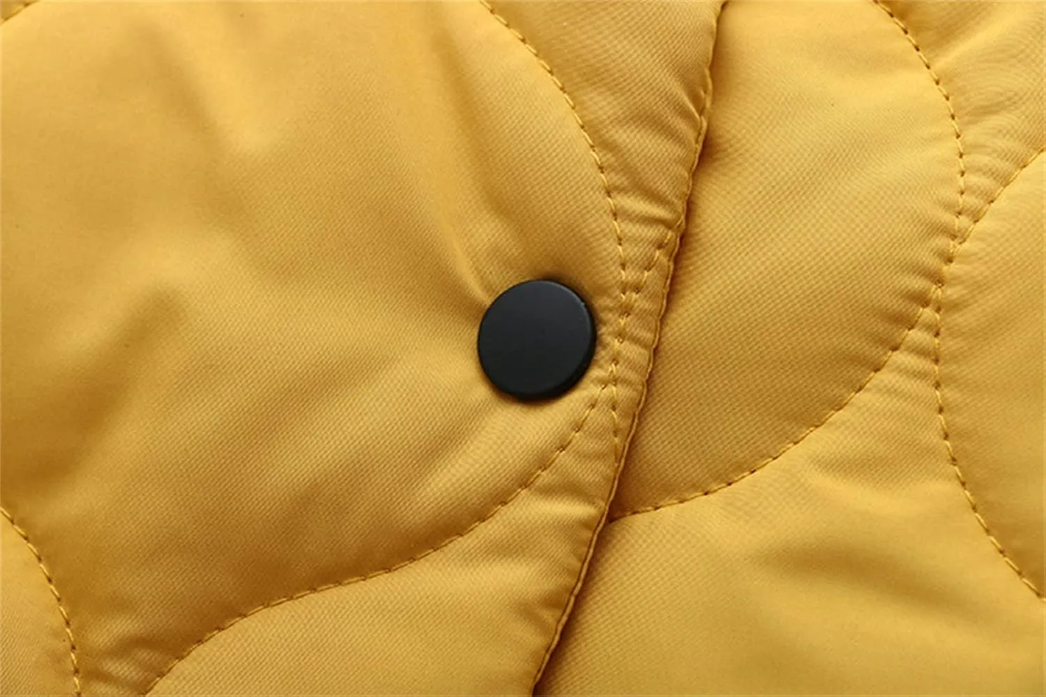 DGHM-JLMY Women's Winter Fashion Short Cotton-Padded Jacket Stand Collar Button Puffer Jacket Casual Warm Down Coat