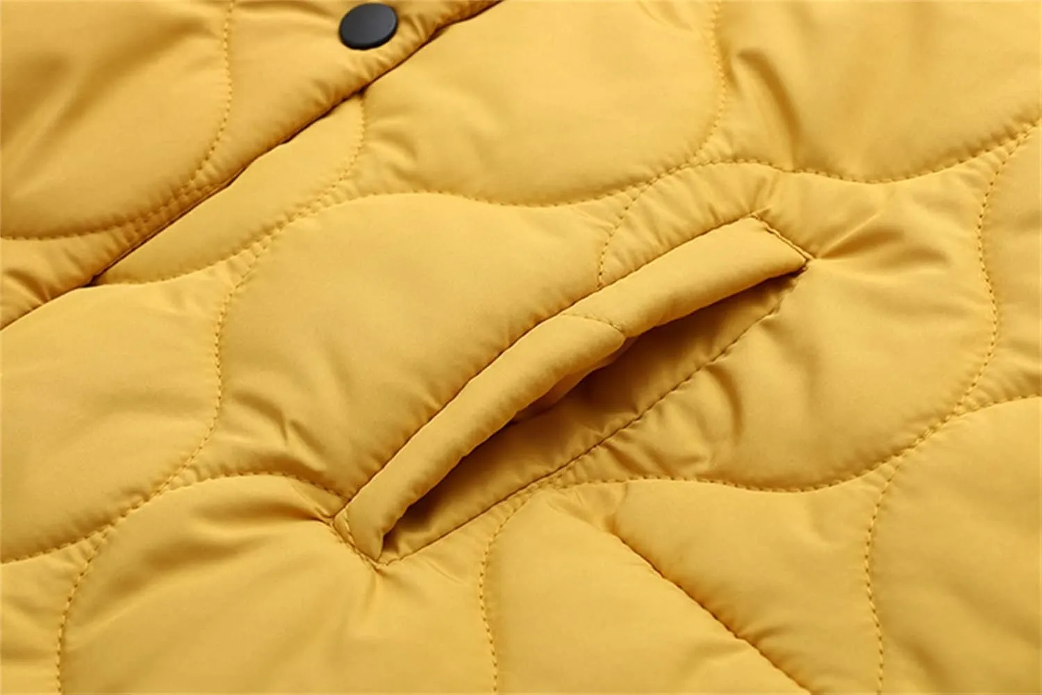 DGHM-JLMY Women's Winter Fashion Short Cotton-Padded Jacket Stand Collar Button Puffer Jacket Casual Warm Down Coat