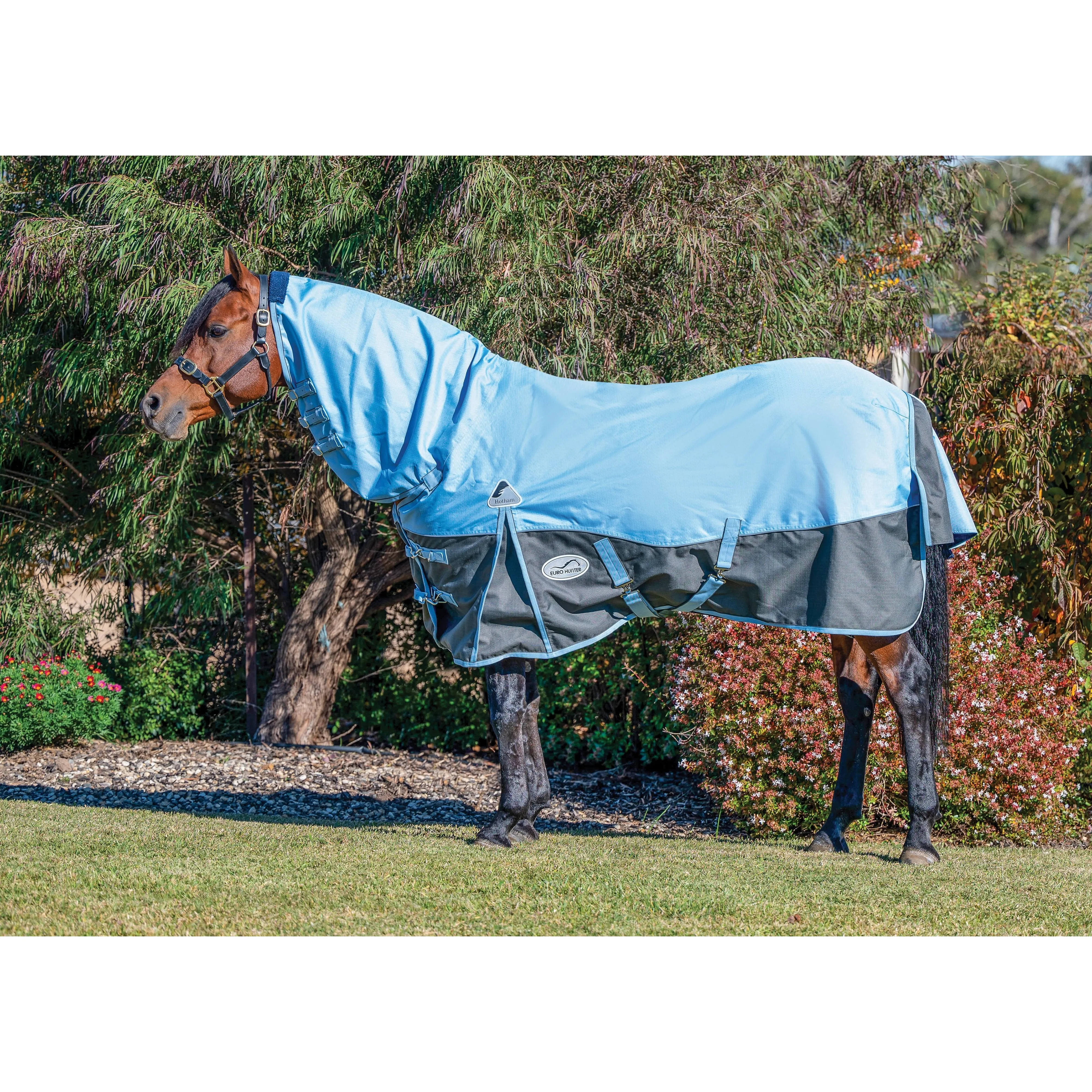 Eurohunter Hotham Combo